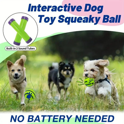 Three dogs playing with a green Interactive Dog Toy Squeaky Ball in a grassy field.