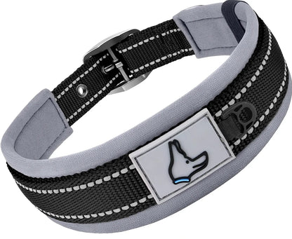 Dog collar with a reflective strip and a brand logo on a white background
