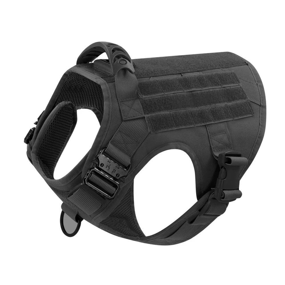 Large Dog Harness And Leash Set