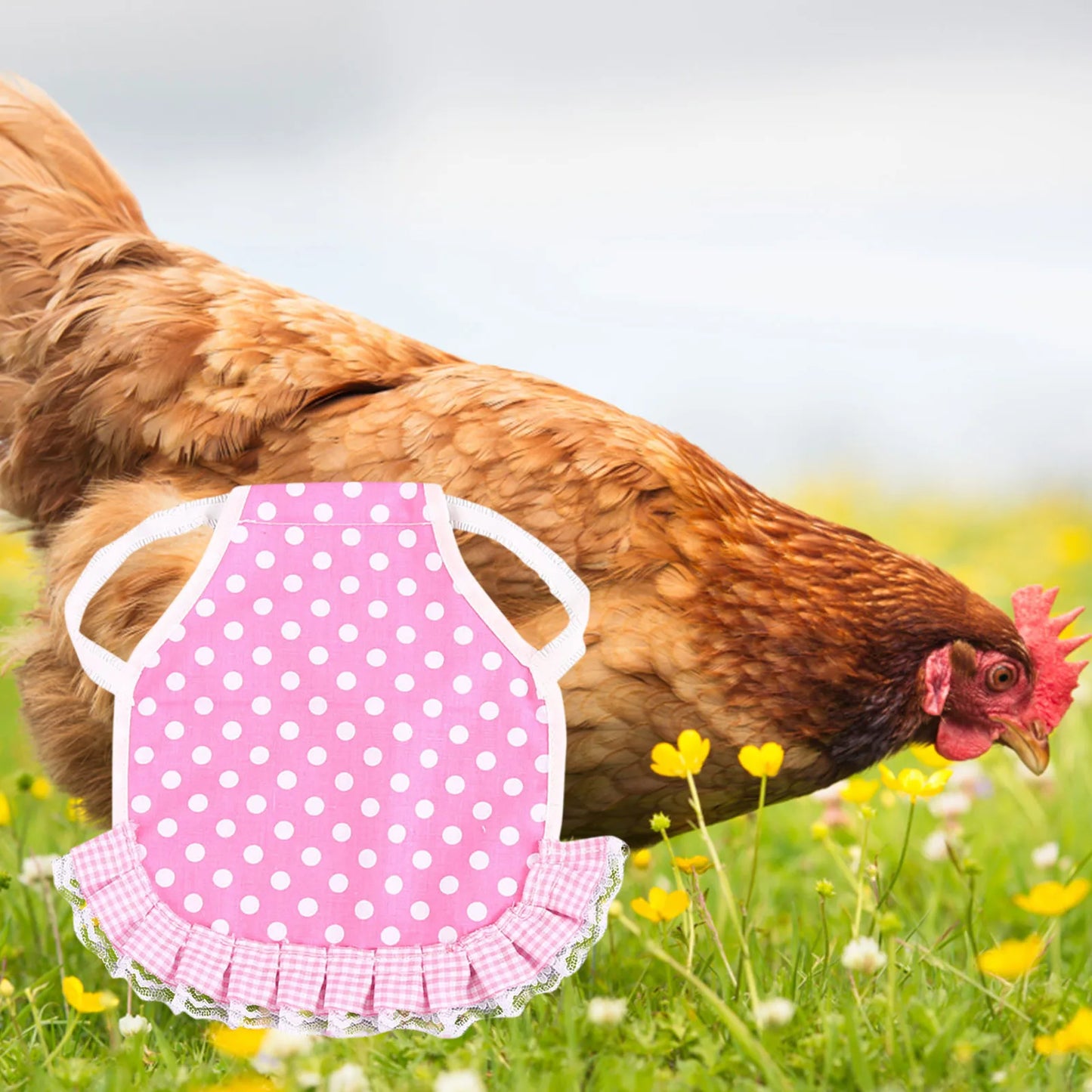 1pcs Farm Hen Feather Retainer Chicken Saddle Strap Apron Double Back Protector