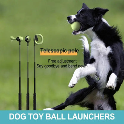 Pet Hand  Stick Throwing Ball Toy, Tennis Launcher