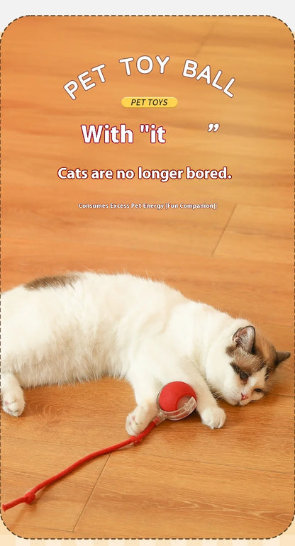 2Pcs Cat Interactive Ball Toys Automatic Rolling Ball Faux Tail Rechargeable