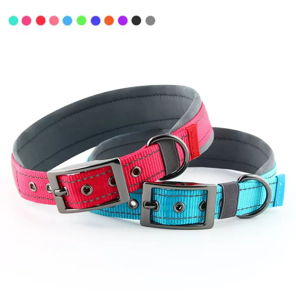 Two dog collars, one pink and black, the other blue and black, on a white background.