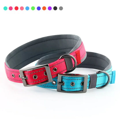 Two dog collars, one pink and black, the other blue and black, on a white background.