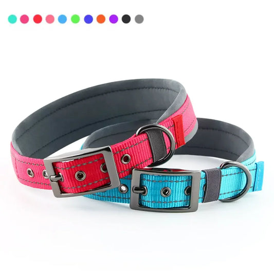 Two dog collars, one pink and black, the other blue and black, on a white background.