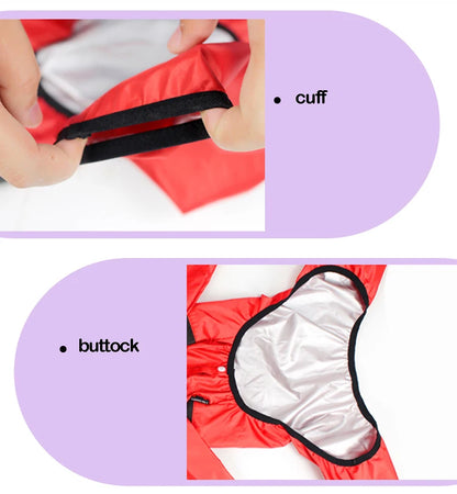 Pet Dog Raincoat