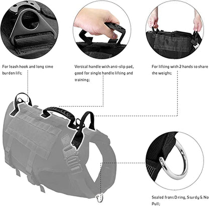 Dog leash with multiple features highlighted on a white background