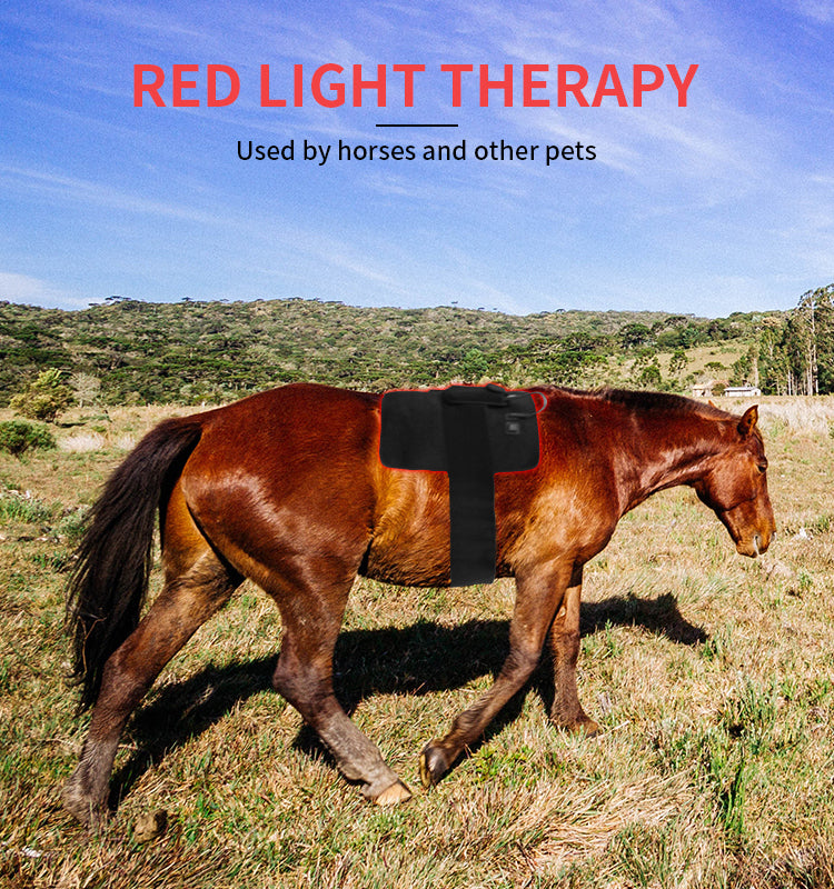 Pain Relief LED Red Light Infrared Machine For Horse Back Therapy
