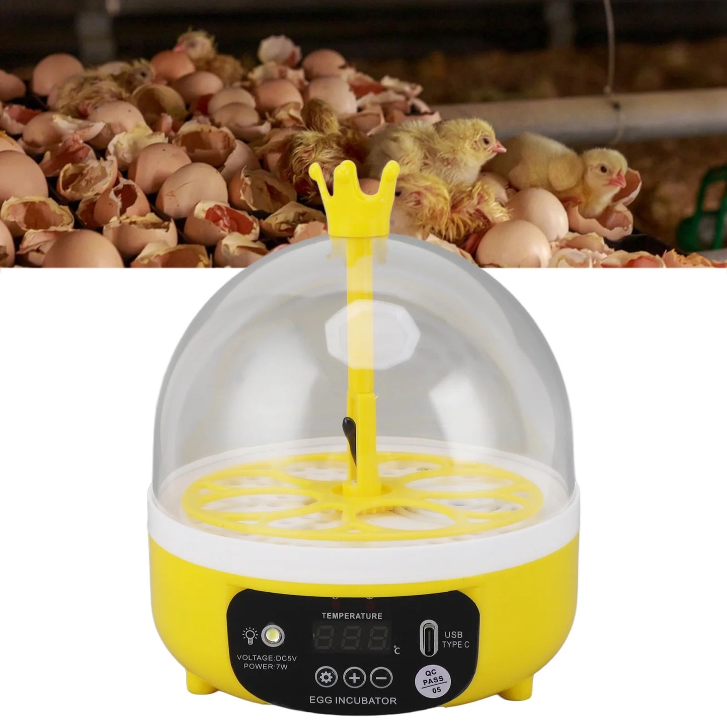 Yellow egg incubator with chicks and eggshells in the background