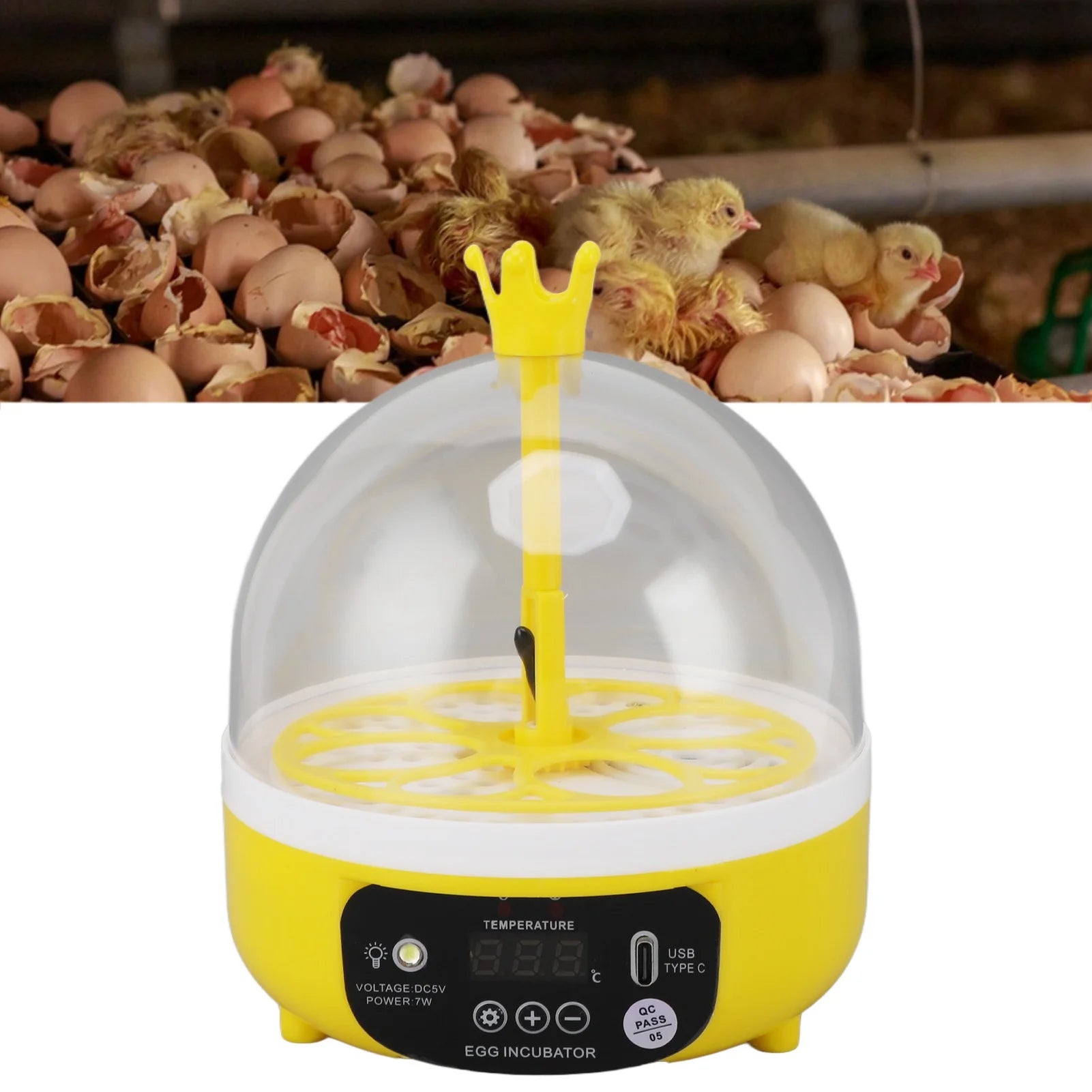 Yellow egg incubator with chicks and eggshells in the background