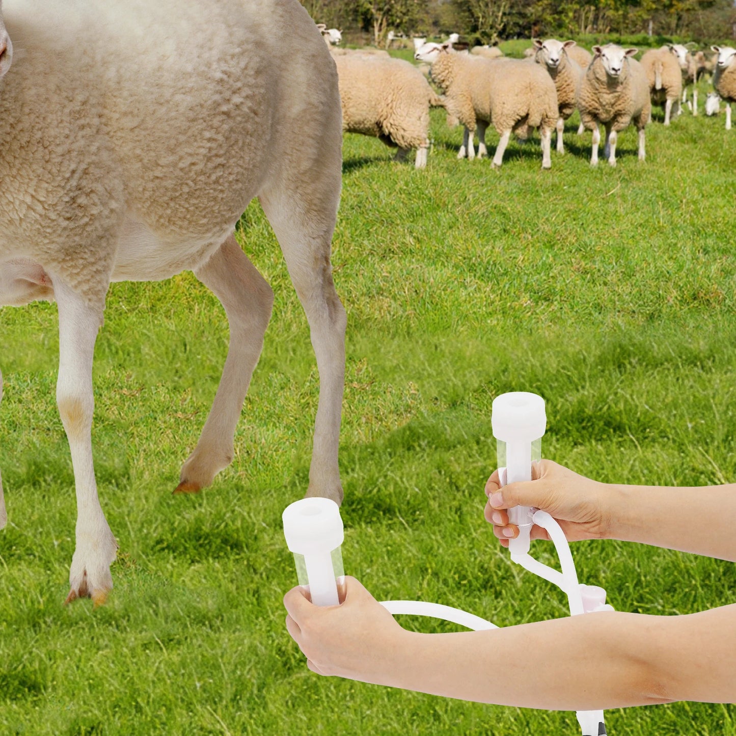 Electric Milking Machine for Cows Goats Stainless Steel