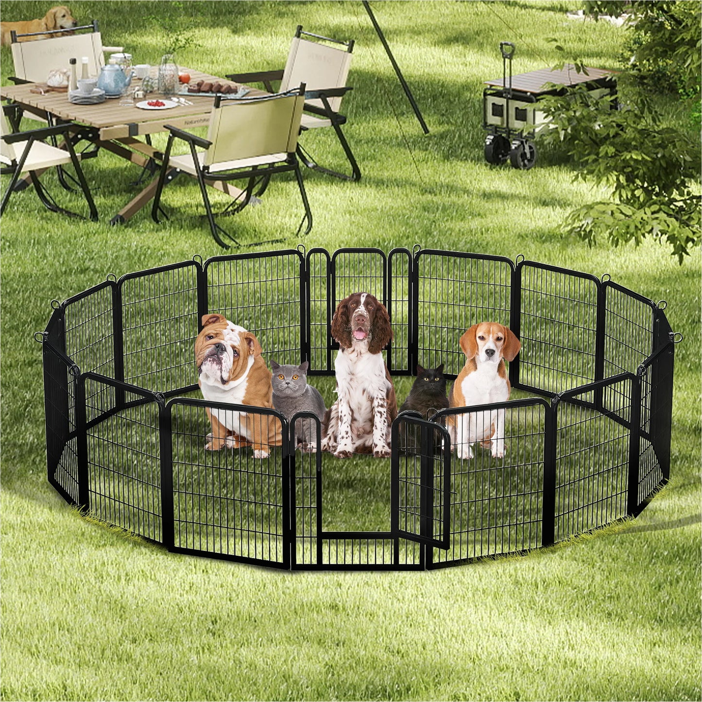 Dog Playpen with Door, Outdoor/Indoor Foldable Metal Fence