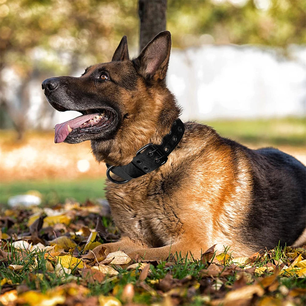 Tactical Dog Collar Durable Nylon Military Outdoor