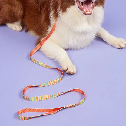 Colorful Silk-Print Cat & Dogs Lead Rope Fashion Nylon Dog Leashes