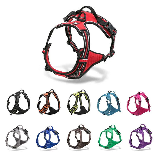 Red dog harness with color options displayed below on a white background