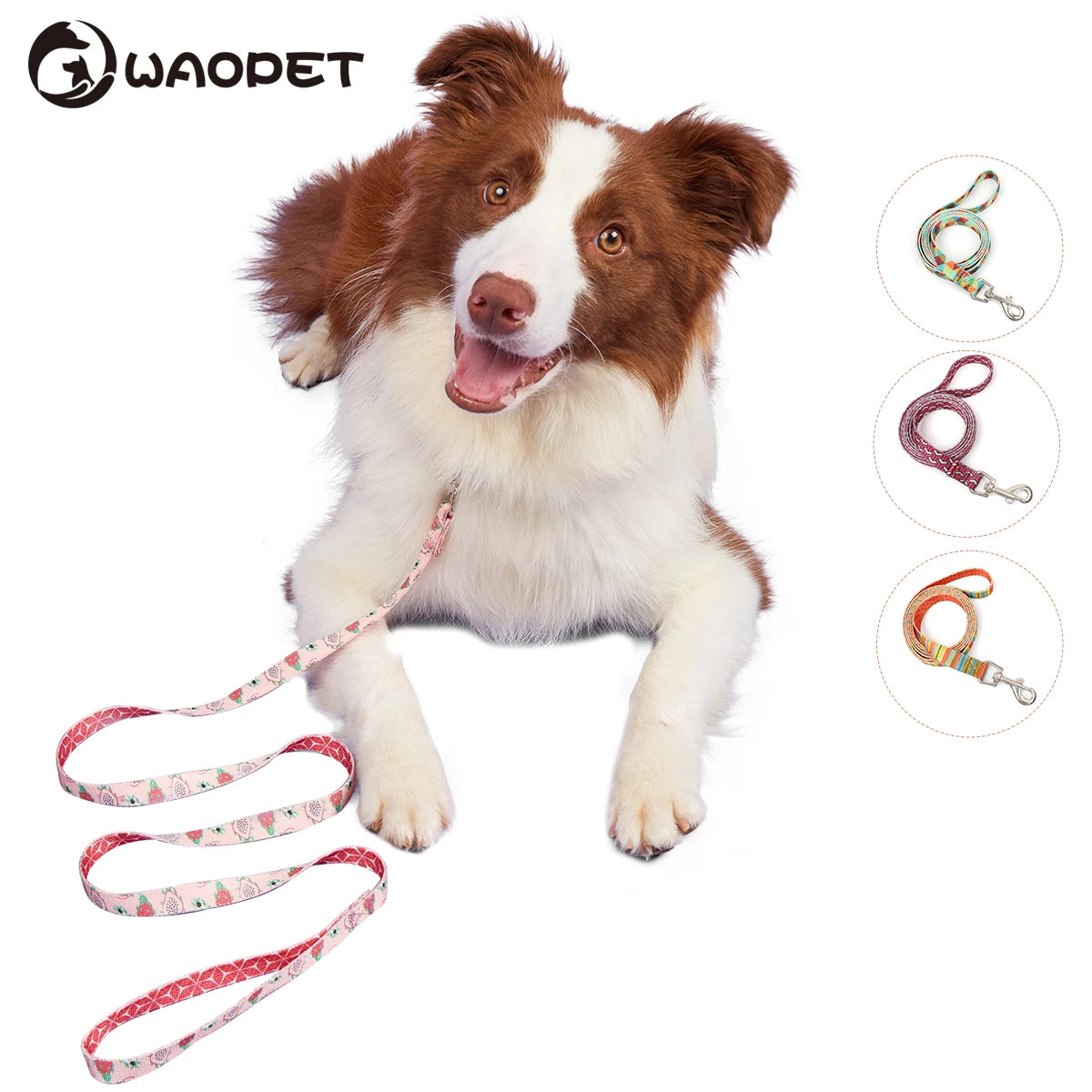 Colorful Silk-Print Cat & Dogs Lead Rope Fashion Nylon Dog Leashes