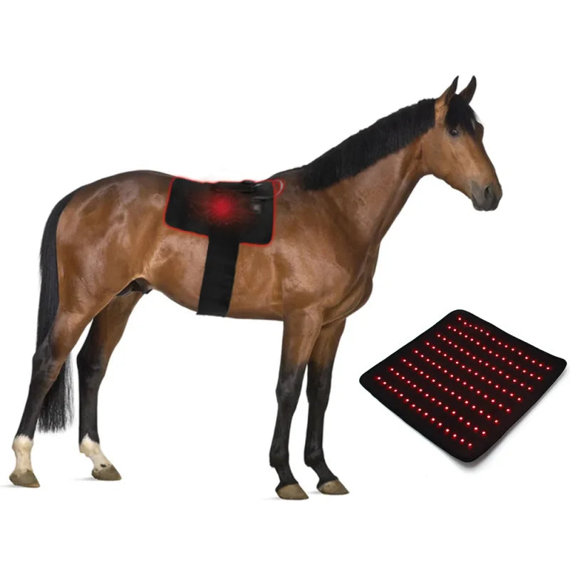 Pain Relief LED Red Light Infrared Machine For Horse Back Therapy
