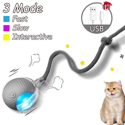 2Pcs Cat Interactive Ball Toys Automatic Rolling Ball Faux Tail Rechargeable