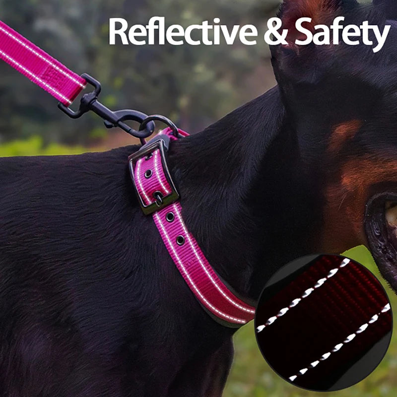 Horse wearing a pink reflective harness with a close-up inset showing reflective material.