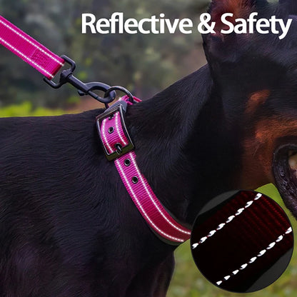 Horse wearing a pink reflective harness with a close-up inset showing reflective material.