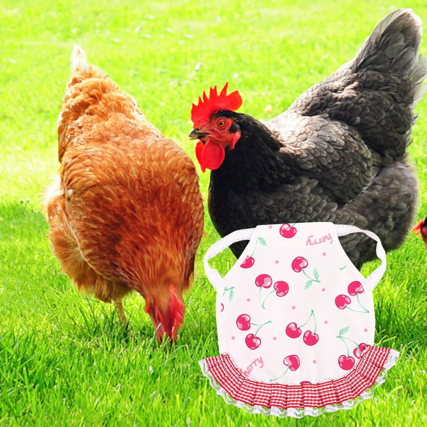 1pcs Farm Hen Feather Retainer Chicken Saddle Strap Apron Double Back Protector