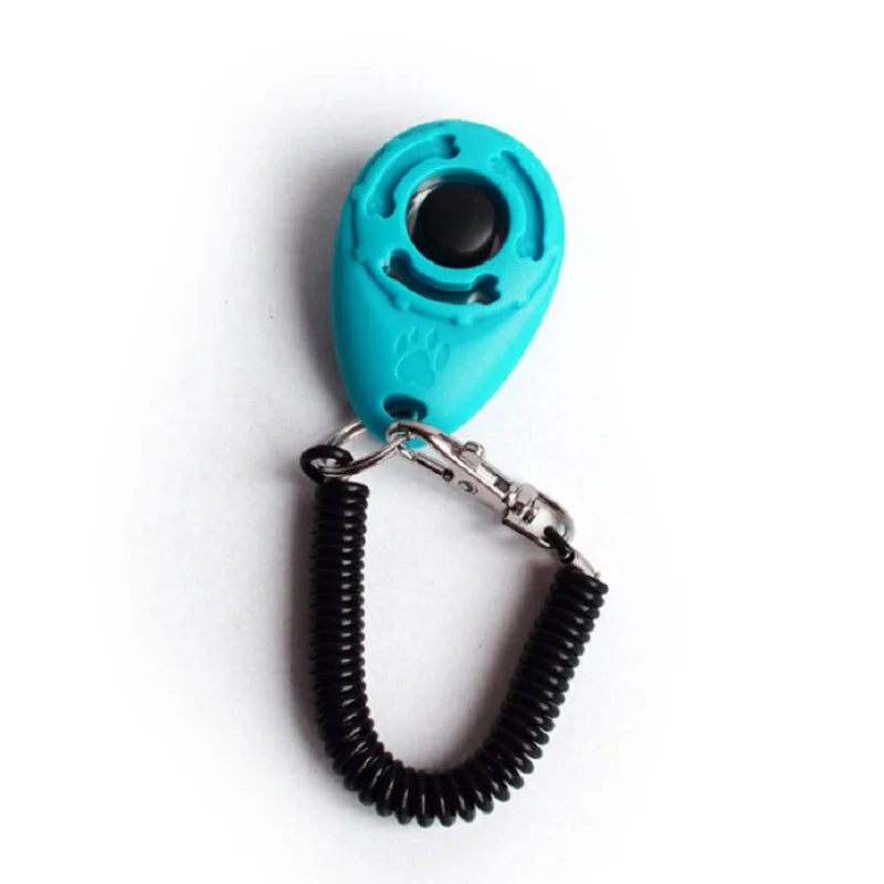 Turquoise pet training clicker with black coiled leash on a white background