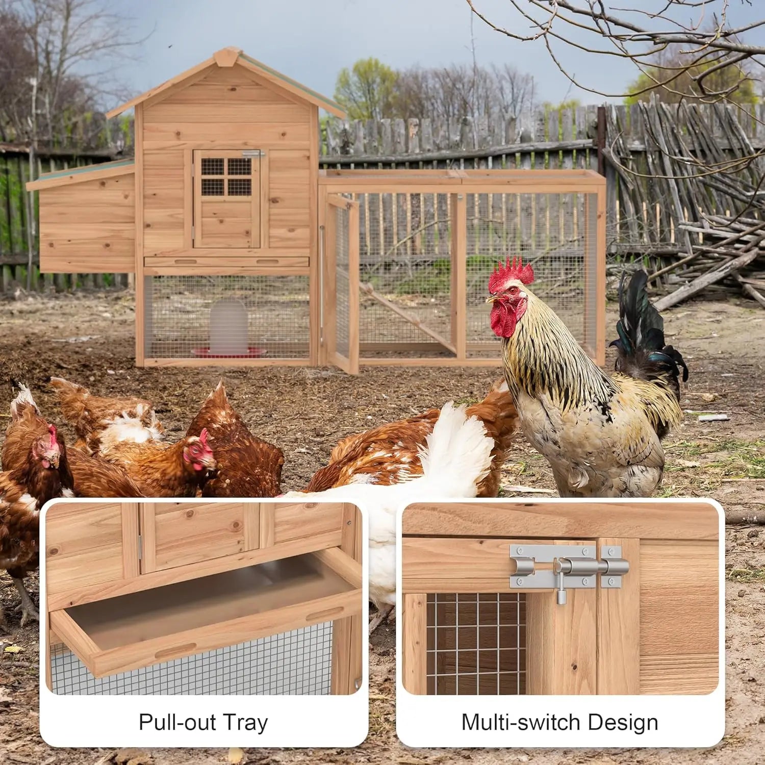 Wooden chicken coop with chickens and close-up details on a farm setting