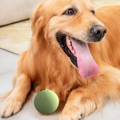 Pet Hand  Stick Throwing Ball Toy, Tennis Launcher