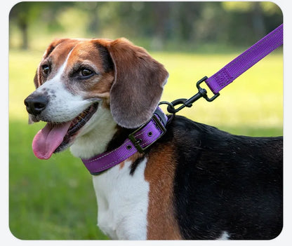 Padded Dog Collars Reflective Adjustable Heavy Duty Nylon Neoprene