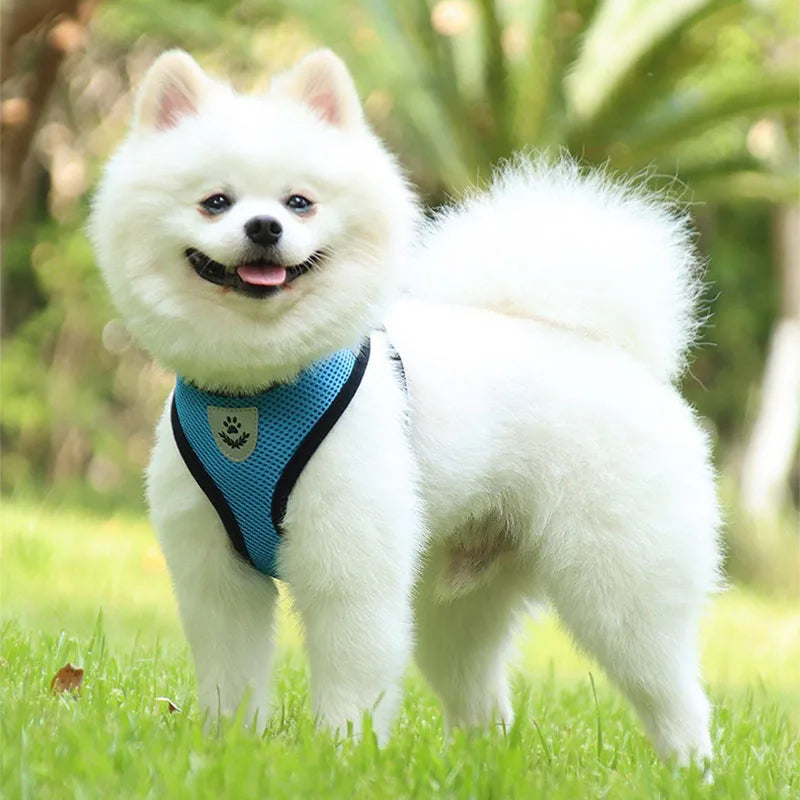 Cat Leash and Harness Anti Escape