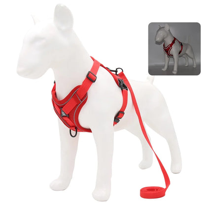 Harness and Leash Set For Small Dog French Bulldog Pug Pitbull Puppy
