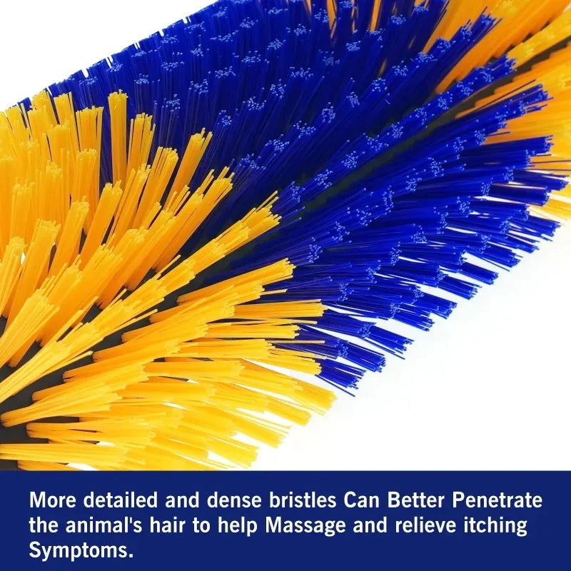 Close-up of blue and yellow bristles with text on a white background