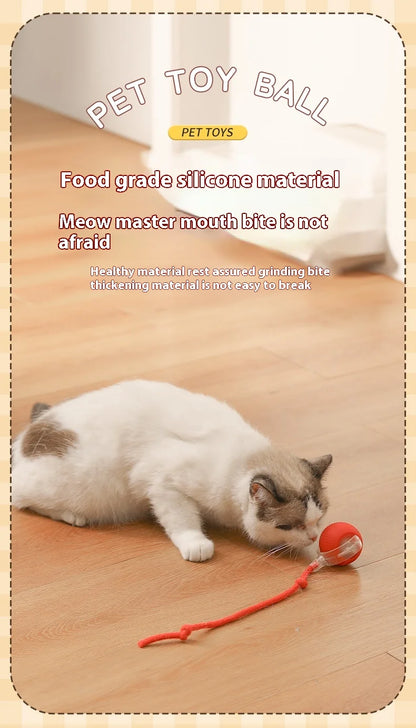 2Pcs Cat Interactive Ball Toys Automatic Rolling Ball Faux Tail Rechargeable