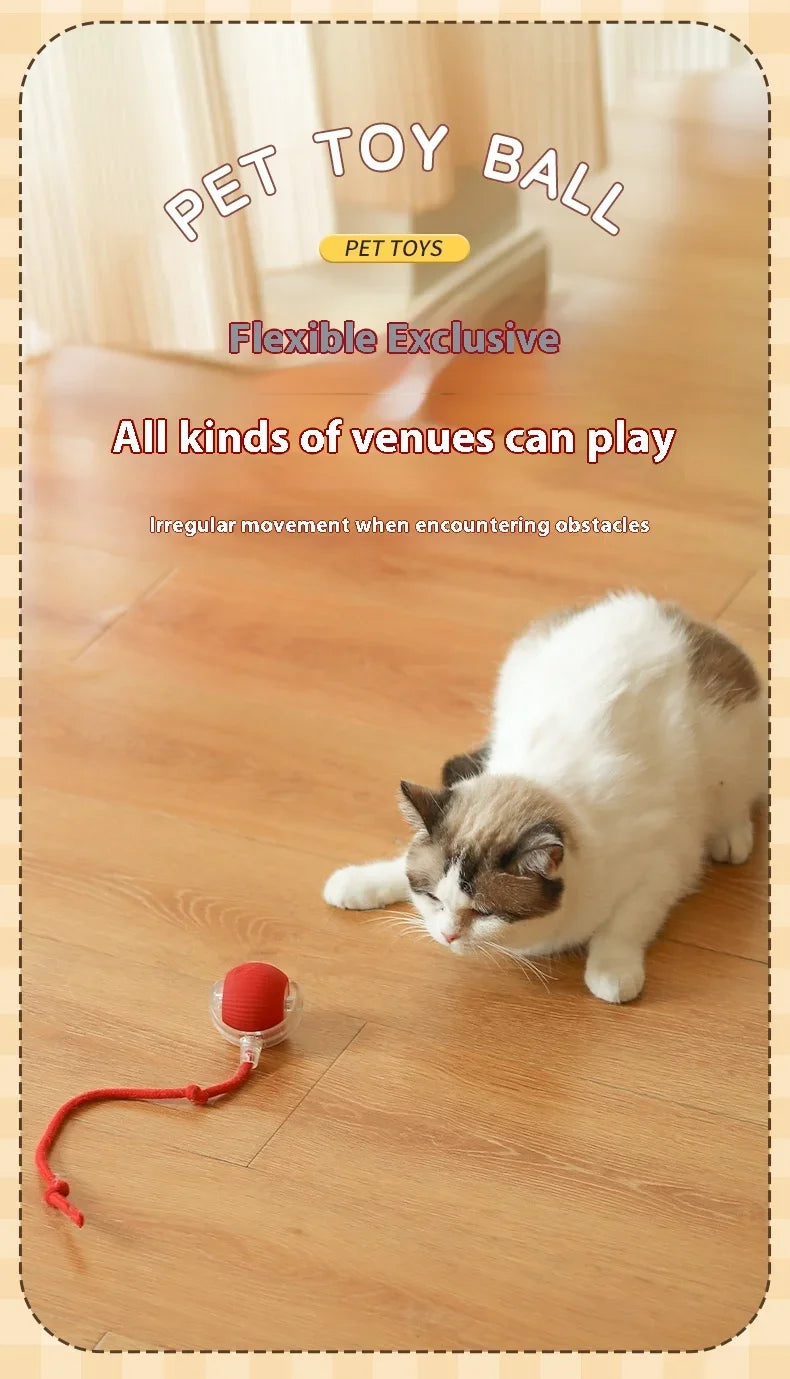 2Pcs Cat Interactive Ball Toys Automatic Rolling Ball Faux Tail Rechargeable