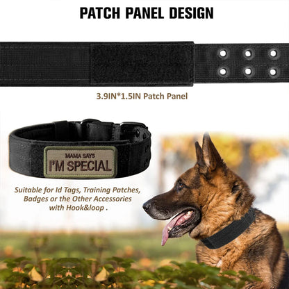 Tactical Dog Collar Durable Nylon Military Outdoor