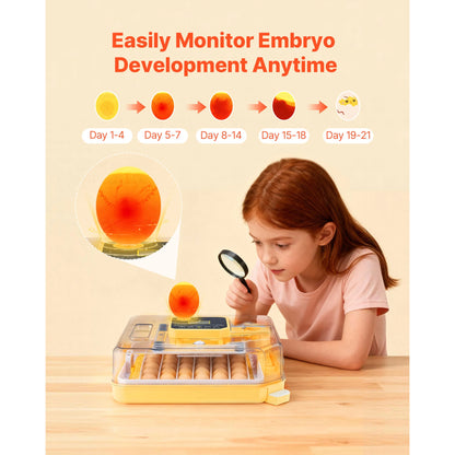 Egg Incubator with LED Candler Temperature Auto Humidity  360° View Clear Window