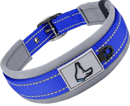 Blue and gray dog collar with a reflective strip and a paw print label on a white background