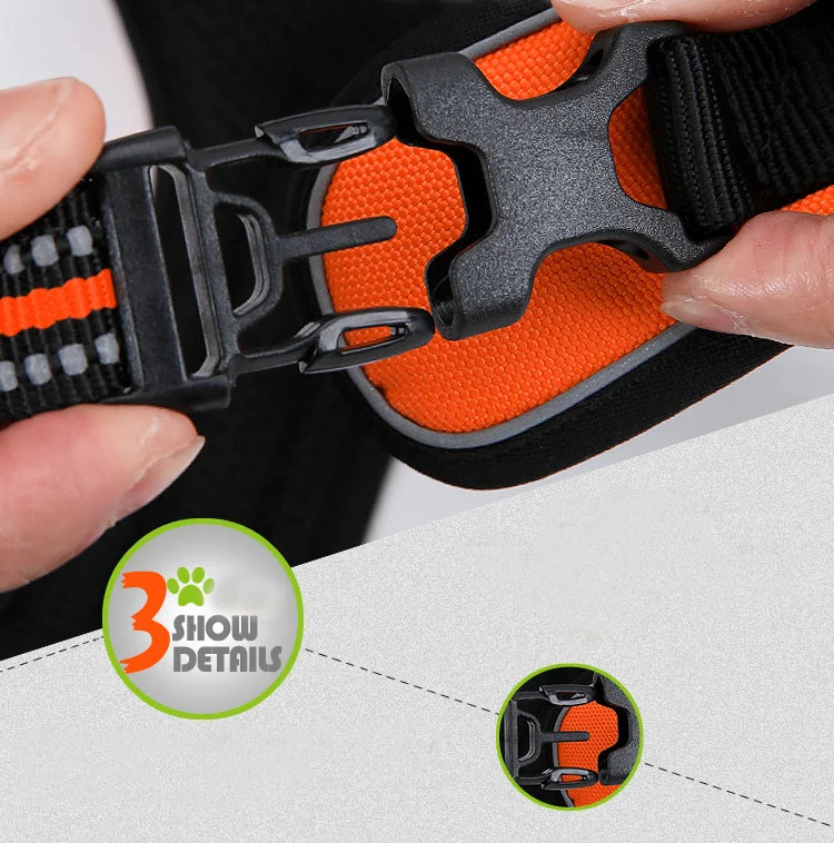 Close-up of a black and orange dog collar with a focus on the buckle mechanism.
