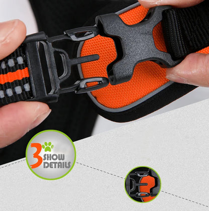 Close-up of a black and orange dog collar with a focus on the buckle mechanism.