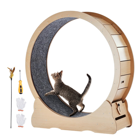 Wooden Cat Exercise Whee