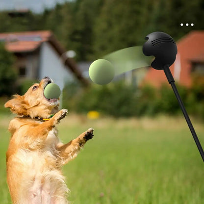 Pet Hand  Stick Throwing Ball Toy, Tennis Launcher