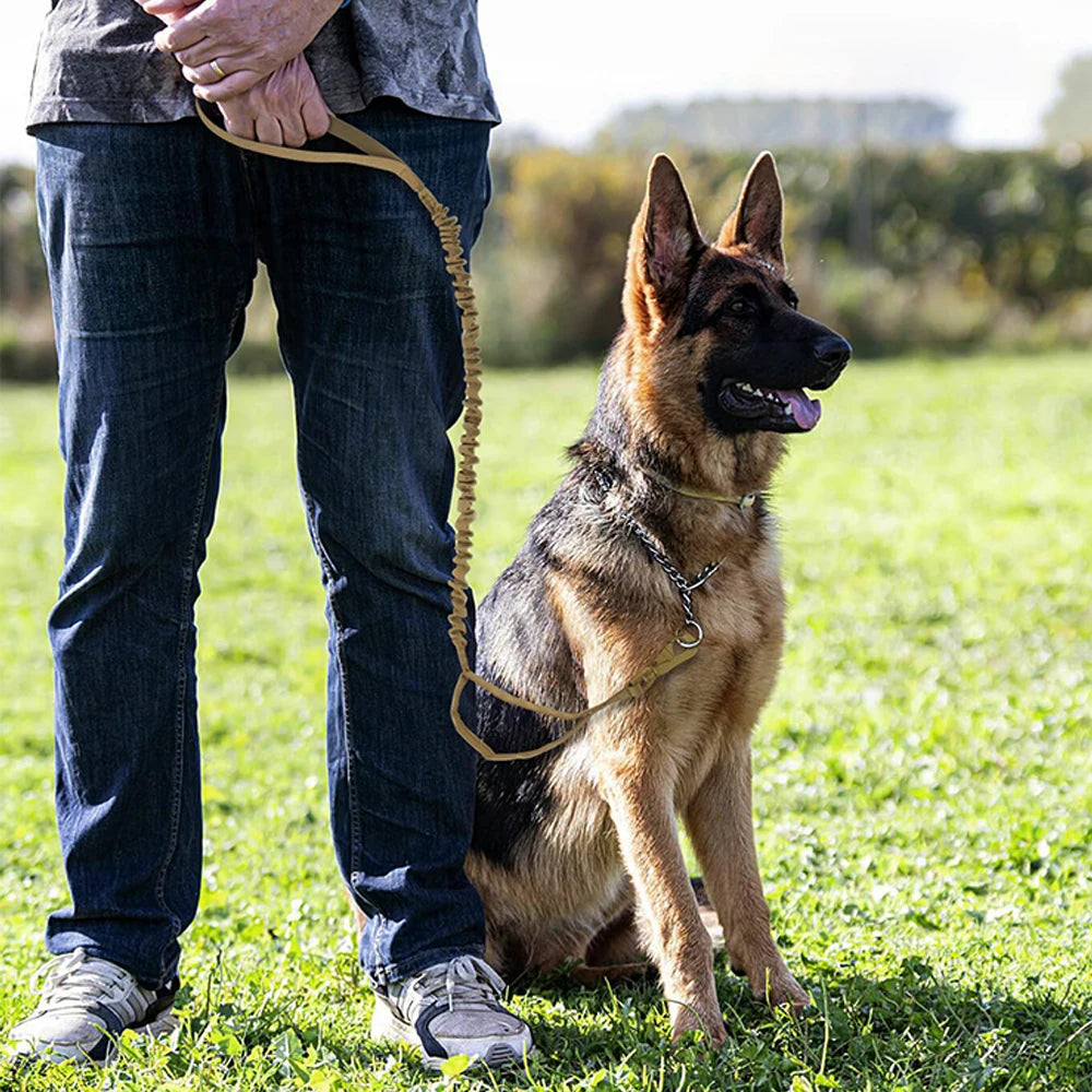 Military Dog Leashes Adjustable Quick Release With 2  Handles