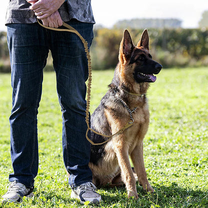 Military Dog Leashes Adjustable Quick Release With 2  Handles