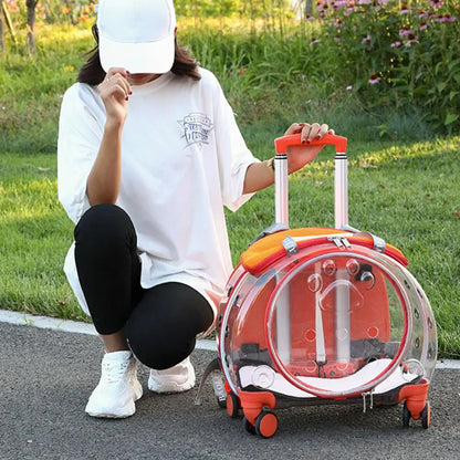 Small Pet Trolley Case with Ventilation Holes Travel Backpack