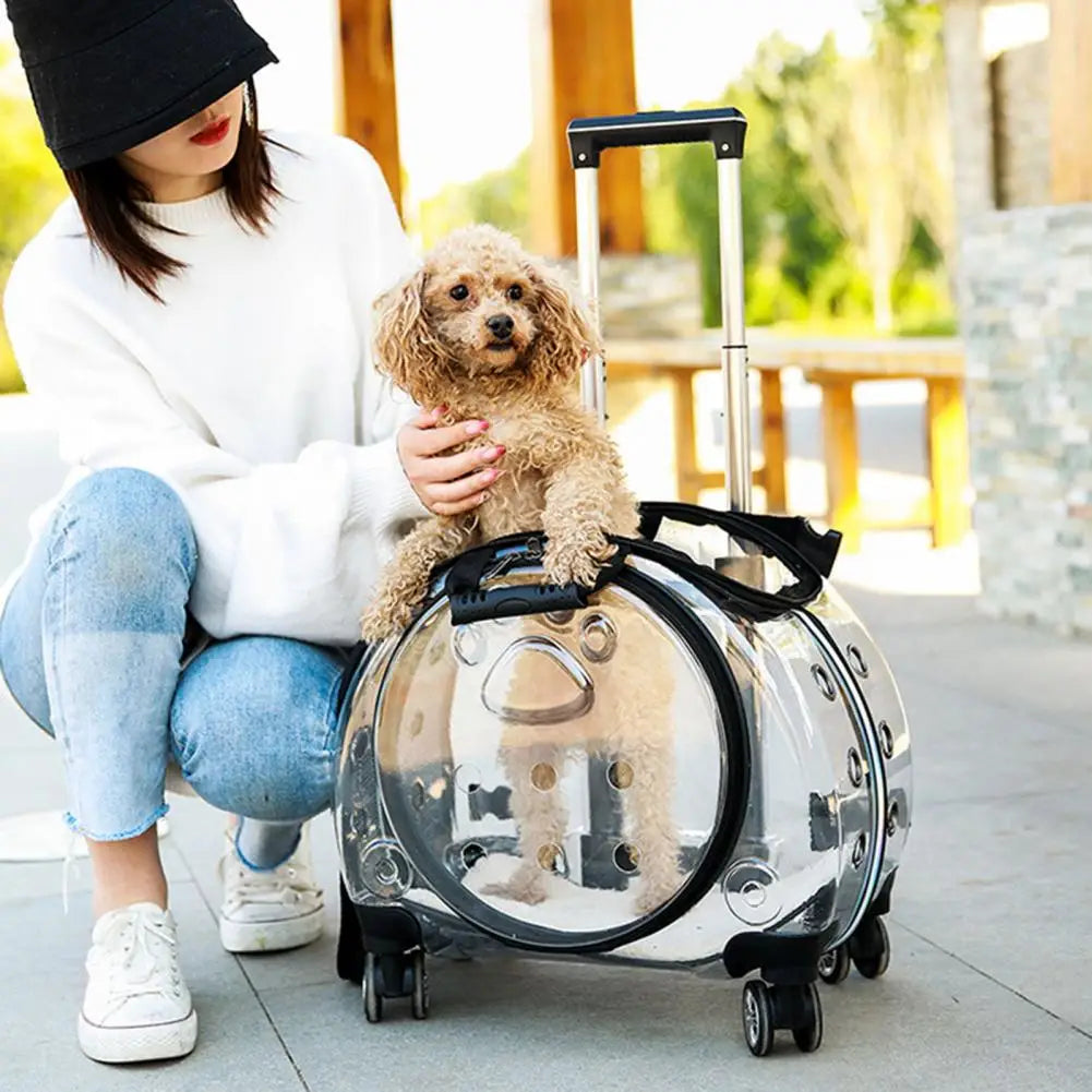 Small Pet Trolley Case with Ventilation Holes Travel Backpack