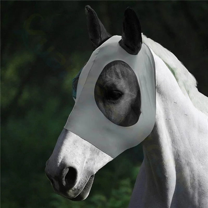 Horse wearing a fly mask with a blurred green background