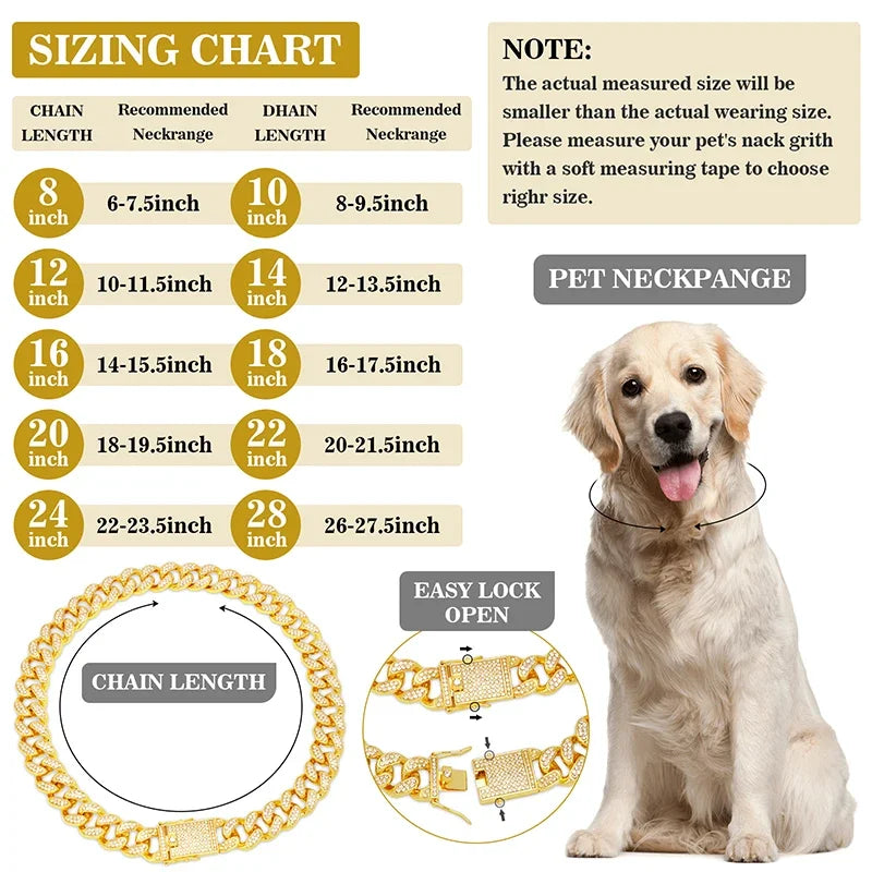Dog wearing a gold chain necklace with a sizing chart and product details.