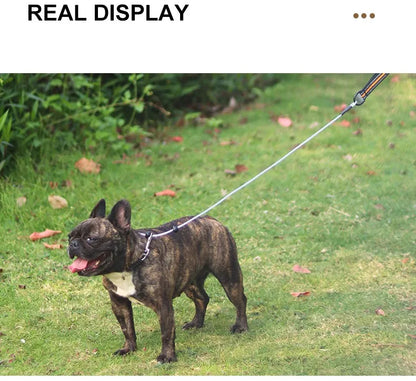 A dark brindle French Bulldog standing on a green grassy lawn, wearing a white harness attached to a thin leash. The image has a white header at the top with the text 'REAL DISPLAY'.