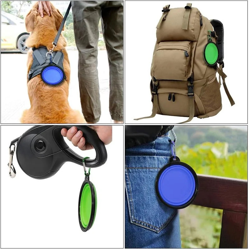 Collage of a dog leash, backpack with green disc, retractable leash, and blue disc.