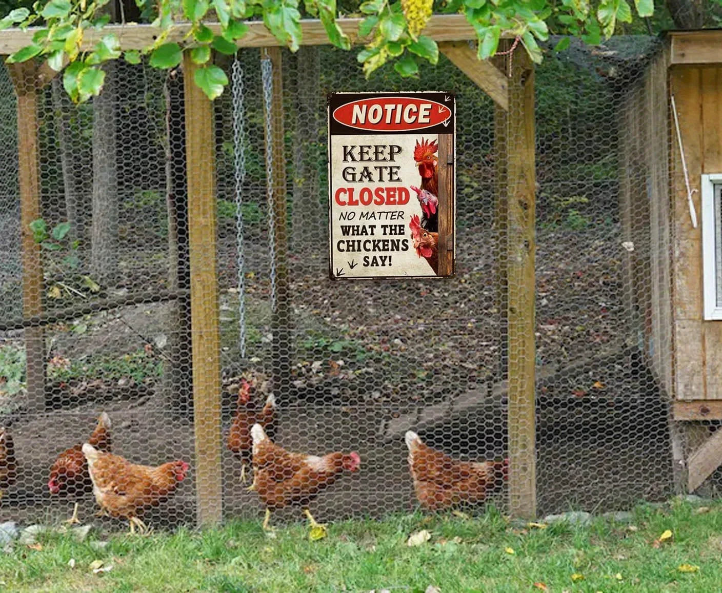 A rectangular metal notice sign hanging on a wooden chicken coop fence, with several brown chickens walking in front of the wire enclosure outdoors.